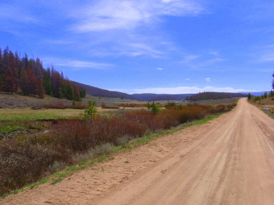 On the road between Lynx Pass and Gore Pass.